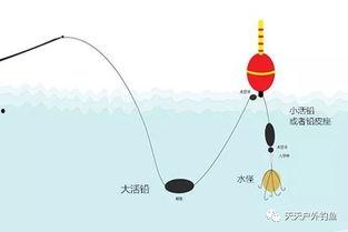 爆料鲢鳙钓法视频教程,视频教程深度解析  第3张 爆料鲢鳙钓法视频教程,视频教程深度解析  第3张