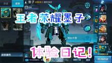 王者体验服新枪爆料视频,神秘武器震撼来袭,揭秘全新游戏玩法